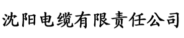 91香蕉精品成人电缆厂logo